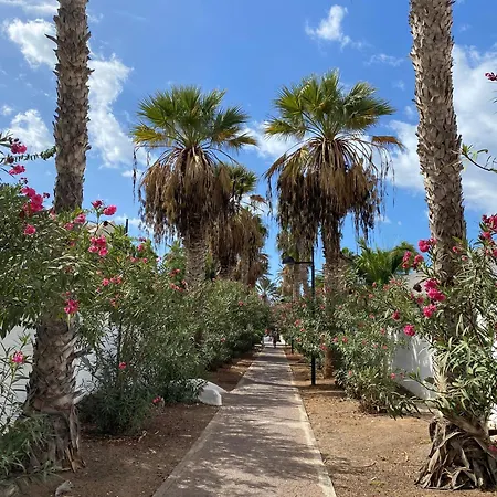 بيت ضيافة The House Tenerife Compartidas أذيخي